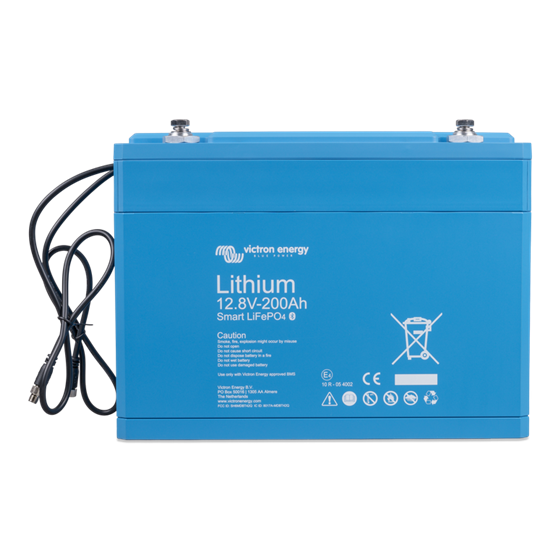 LiFePO4 Smart Lithium Accu's 200